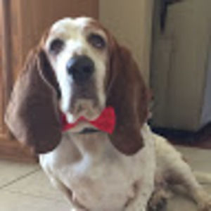 Meet your Posher, Marie